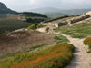 Segesta View